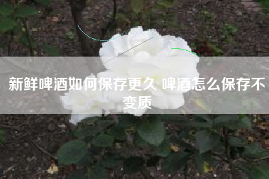 新鮮啤酒如何保存更久 啤酒怎么保存不變質(zhì)