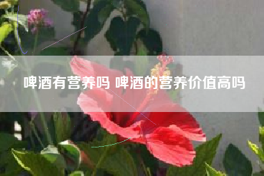 啤酒有營(yíng)養(yǎng)嗎 啤酒的營(yíng)養(yǎng)價(jià)值高嗎