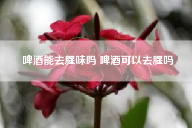 啤酒能去腥味嗎 啤酒可以去腥嗎