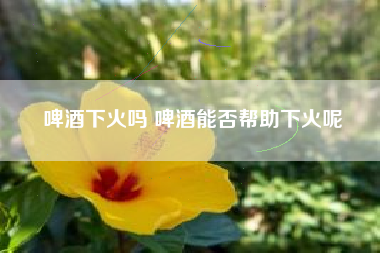 啤酒下火嗎 啤酒能否幫助下火呢