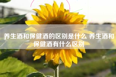 養(yǎng)生酒和保健酒的區(qū)別是什么 養(yǎng)生酒和保健酒有什么區(qū)別