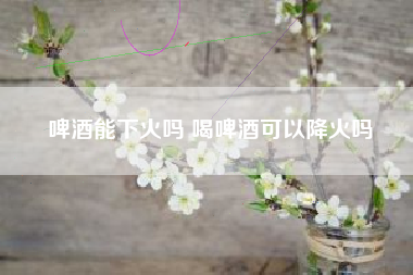 啤酒能下火嗎 喝啤酒可以降火嗎