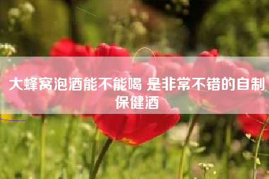 大蜂窩泡酒能不能喝 是非常不錯的自制保健酒