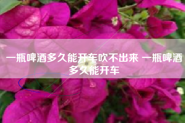 一瓶啤酒多久能開車吹不出來(lái) 一瓶啤酒多久能開車