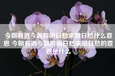今朝有酒今朝醉明日愁來明日愁什么意思 今朝有酒今朝醉明日愁來明日愁的意思是什么