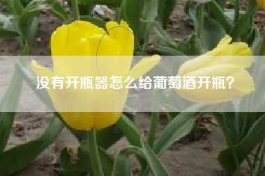 沒有開瓶器怎么給葡萄酒開瓶？