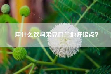 用什么飲料來(lái)兌白蘭地好喝點(diǎn)？