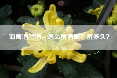 葡萄酒醒酒，怎么醒酒呢？醒多久？