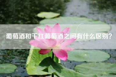 葡萄酒和干紅葡萄酒之間有什么區(qū)別？