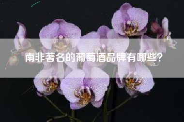 南非著名的葡萄酒品牌有哪些？