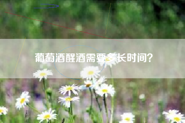葡萄酒醒酒需要多長時間？
