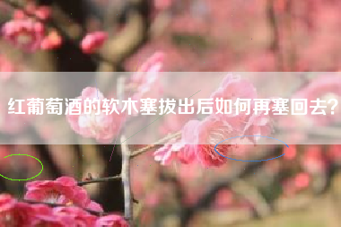 紅葡萄酒的軟木塞拔出后如何再塞回去？