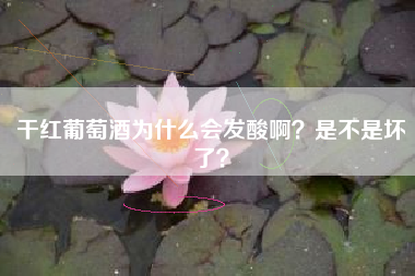 干紅葡萄酒為什么會(huì)發(fā)酸?。渴遣皇菈牧?？