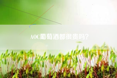 AOC葡萄酒都很貴嗎？