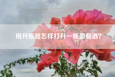 用開瓶器怎樣打開一瓶葡萄酒？