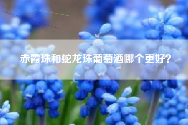 赤霞珠和蛇龍珠葡萄酒哪個(gè)更好？