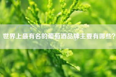 世界上最有名的葡萄酒品牌主要有哪些？