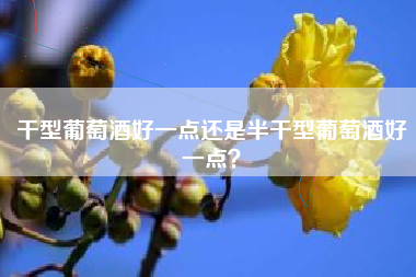 干型葡萄酒好一點還是半干型葡萄酒好一點？