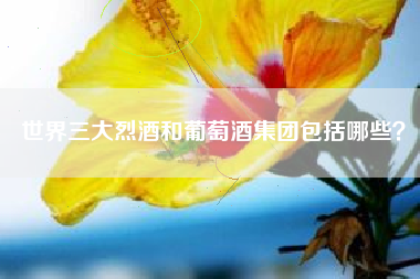世界三大烈酒和葡萄酒集團(tuán)包括哪些？