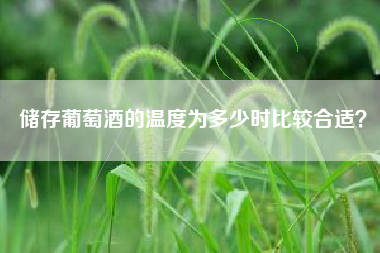 儲存葡萄酒的溫度為多少時比較合適？