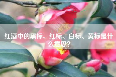 紅酒中的黑標(biāo)、紅標(biāo)、白標(biāo)、黃標(biāo)是什么意思？