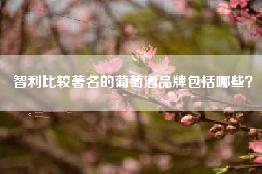 智利比較著名的葡萄酒品牌包括哪些？