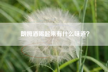 朗姆酒喝起來有什么味道？