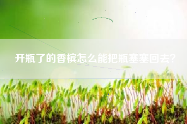 開瓶了的香檳怎么能把瓶塞塞回去？