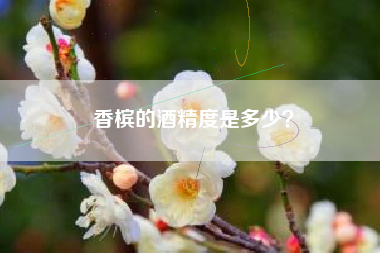 香檳的酒精度是多少？