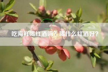 吃海鮮喝紅酒嗎？喝什么紅酒好？