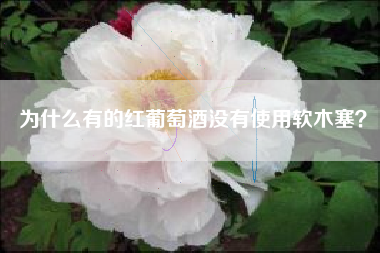 為什么有的紅葡萄酒沒有使用軟木塞？