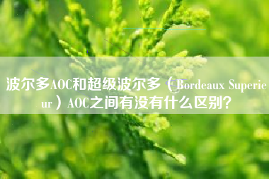 波爾多AOC和超級(jí)波爾多（Bordeaux Superieur）AOC之間有沒有什么區(qū)別？