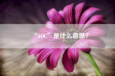 “AOC”是什么意思？