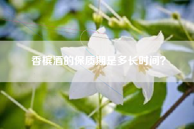香檳酒的保質(zhì)期是多長時(shí)間？