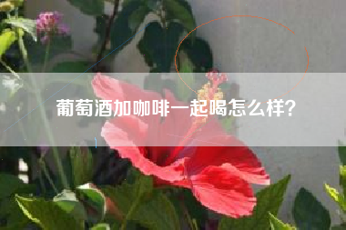 葡萄酒加咖啡一起喝怎么樣？