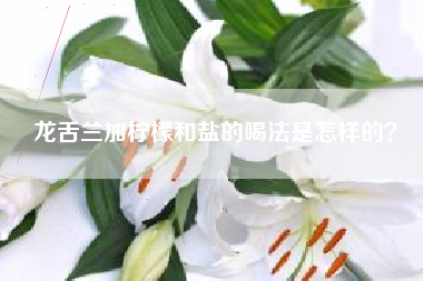 龍舌蘭加檸檬和鹽的喝法是怎樣的？