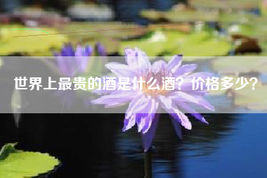 世界上最貴的酒是什么酒？價格多少？