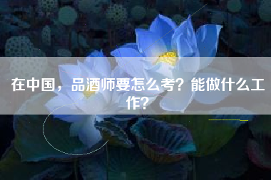 在中國，品酒師要怎么考？能做什么工作？