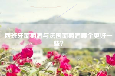 西班牙葡萄酒與法國葡萄酒哪個更好一些？