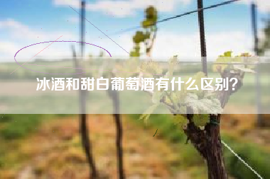 冰酒和甜白葡萄酒有什么區(qū)別？