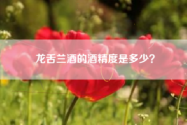 龍舌蘭酒的酒精度是多少？