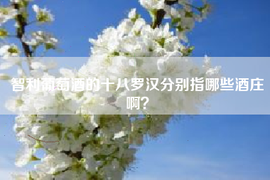 智利葡萄酒的十八羅漢分別指哪些酒莊??？
