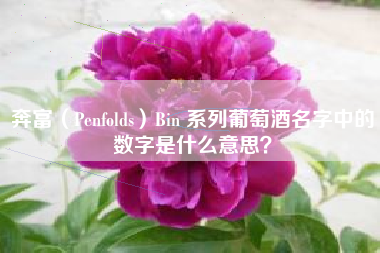 奔富（Penfolds）Bin 系列葡萄酒名字中的數(shù)字是什么意思？