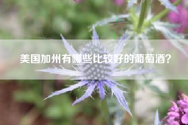 美國(guó)加州有哪些比較好的葡萄酒？