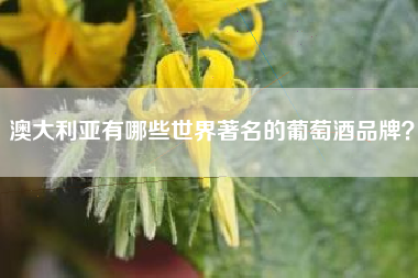 澳大利亞有哪些世界著名的葡萄酒品牌？