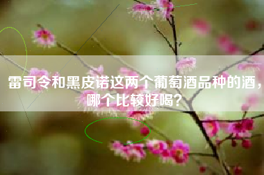 雷司令和黑皮諾這兩個(gè)葡萄酒品種的酒，哪個(gè)比較好喝？