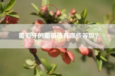 葡萄牙的葡萄酒有哪些等級(jí)？