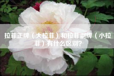 拉菲正牌（大拉菲）和拉菲副牌（小拉菲）有什么區(qū)別？