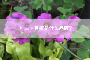 Moscato 香檳是什么品牌？