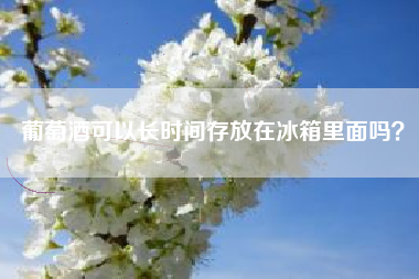 葡萄酒可以長時(shí)間存放在冰箱里面嗎？